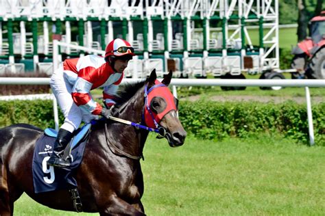 NY Horse Betting Sites and Promos 2025 .
